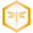 Dragonfly Health PRO logo